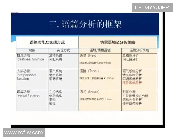 西安排球队的团队协作与战术配合深度分析与探讨